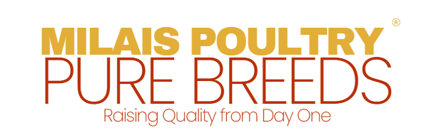 Milais Poultry Pure Breeds Logo - Raising Quality from Day One